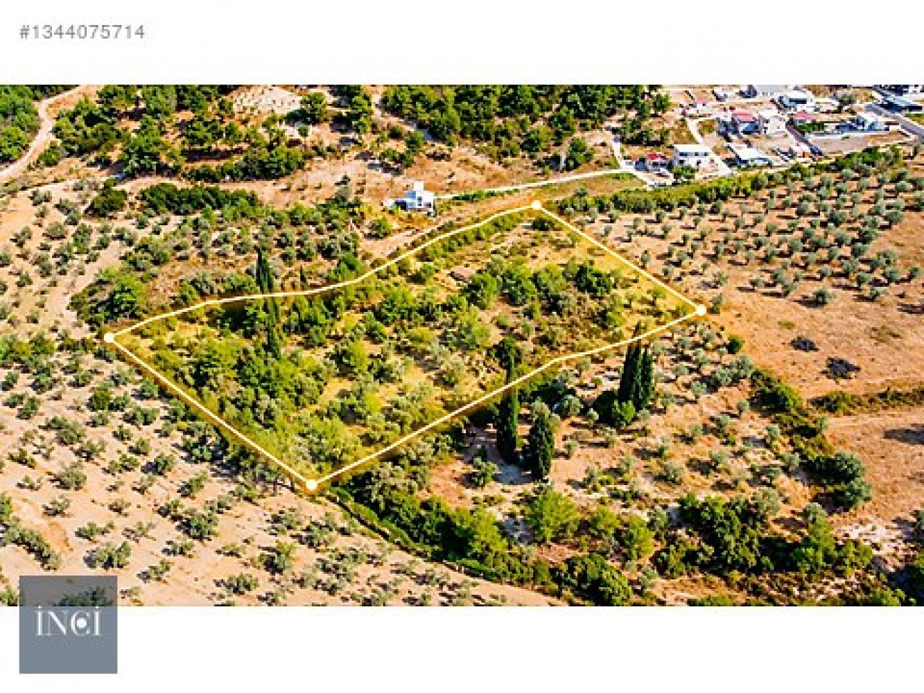 EPA İNCİ - URLA YENİCEDE 7.220 M² ZEYTİNLİ BAĞ VE TARLA