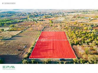 BEKİLLİ SIRIKLI MAH.BAĞ KÖYE 600 METRE 2 ADET TARLA