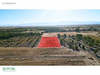 ÇAL İSABEY de 1910 m2 BAĞ ASFALTA 2. PARSEL ARAÇLA ULAŞILIR