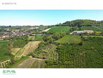 KANDIRA KARLI MAHALLESİ KÖY YOLUNA CEPHE %5 UYGUN İMAR SINIRINDA