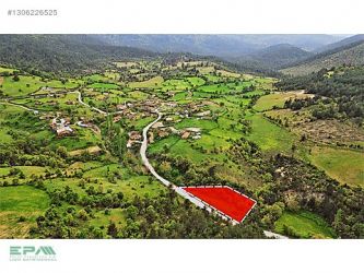 ÇANAKKALE LAPSEKİ HARMANCIK ASFALT YOLA CEPHE 290 m² si İMARLI