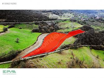 BOLU MUDURNU AKYOKUŞ KÖYÜNDE SATILIK YATIRIMLIK 2 ADET TARLA