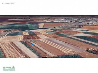 TEKİRDAĞ SARAY SOFULARDA 1.047 m2 TEK TAPU SATILIK BAĞYERİ.!!