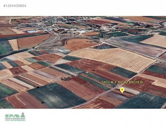 TEKİRDAĞ SARAY SOFULARDA 1.302 m2 TEK TAPU SATILIK BAĞYERİ.!!