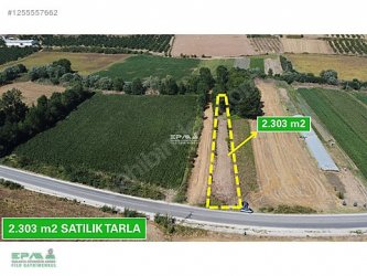 KIRKLARELİ PINARHİSAR ATAKÖYDE 2.303 m2 SATILIK VERİMLİ TARLA.!
