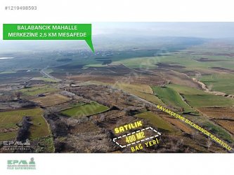 TEKİRDAĞ MALKARA BALABANCIK MAHALLESİ 400 m2 SATILIK BAĞ..!!!