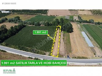 PINARHİSAR ATAKÖY 1.991 m2 MÜSTAKİL TAPULU ANAYOLA CEPHELİ TARLA