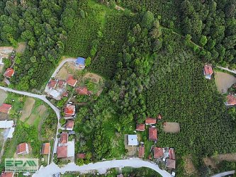 EPA UĞURDAN DÜZCE MERKEZ DAĞDİBİ KÖYÜNDE SATILIK ARSA