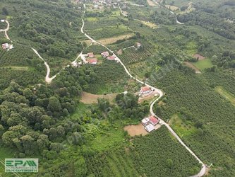 EPA UĞURDAN DÜZCE MERKEZ DAĞDİBİNDE SATILIK 10.850 m² ARSA