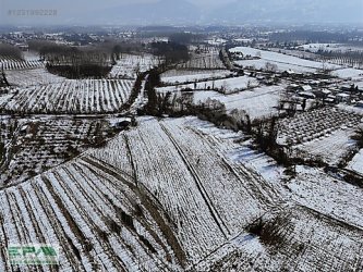 | EPA UĞUR | DÜZCE BATAKLI ÇİFTLİKDE 8 DÖNÜM SATILIK ARSA