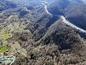 EPA UĞURDAN DARIYERİHASANBEY KÖYÜNDE 2.5 DÖNÜM FINDIKLIK