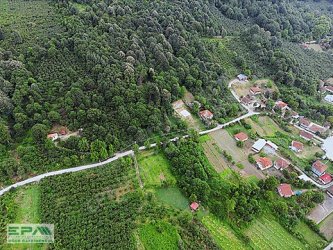 EPA UĞURDAN DAĞDİBİ KÖYÜNDE SATILIK PARSELLER