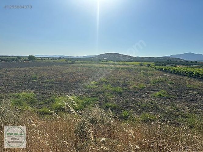Manisa Şehzadeler Tilkisüleymaniye Mah. Satılık Tarla