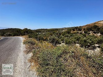 Manisa Saruhanlı Sarıçam Mah. Villa İmarlı Satılık Arsa