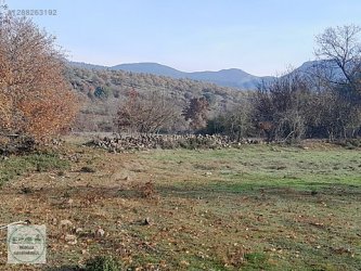 Manisa Yunusemre Karakılıçlı 4300 m2 Satılık Tarla Tek Tapu