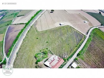 Manisa Şehzadeler Kazım Karabekir 4384 m2 Satılık Bağ