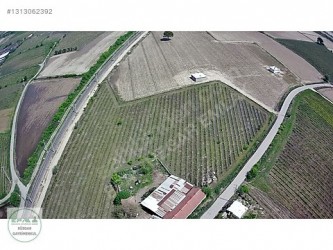 Manisa Şehzadeler Kazım Karabekir 4779 m2 Satılık Bağ