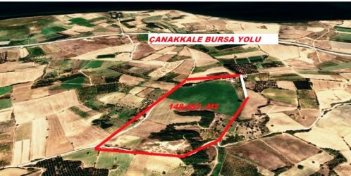 ÇANAKKALE LAPSEKİ ÇARDAK ta 148.500.m2 eko ya uygun TARLA