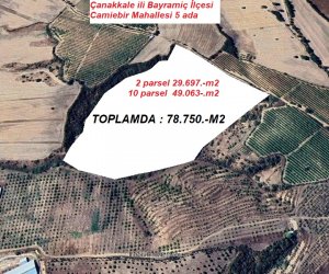 Bayramiç Camikebir mah.SATILIK TARLA