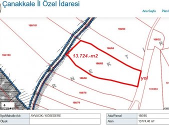 AYVACIK KÖSEDERE KÖYÜ SATILIK ZEYTİNLİK ve TARLA