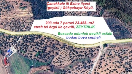 Çanakkale Ezine (GEYİKLİ) Gökçebayır Mevki..23.458.-m2 SATILIK Zeytinlik asfalta cepheli