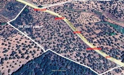 Çanakkale Ezine (GEYİKLİ) Gökçebayır Mevki..23.458.-m2 SATILIK Zeytinlik asfalta cepheli