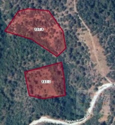 Bayramiç, Dağoba, Toluklar, Tongurlu SATILIK Tarla