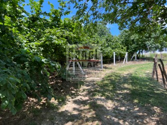 SAKARYA KAYNARCADA CANOL EMLAKTAN SATILIK 970 M2 İMARLI ARSA