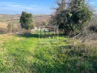 SAKARYA KAYNARCADA CANOL EMLAKTAN SATILIK 1060 M2 İMARLI KÖYKENARI ARSA