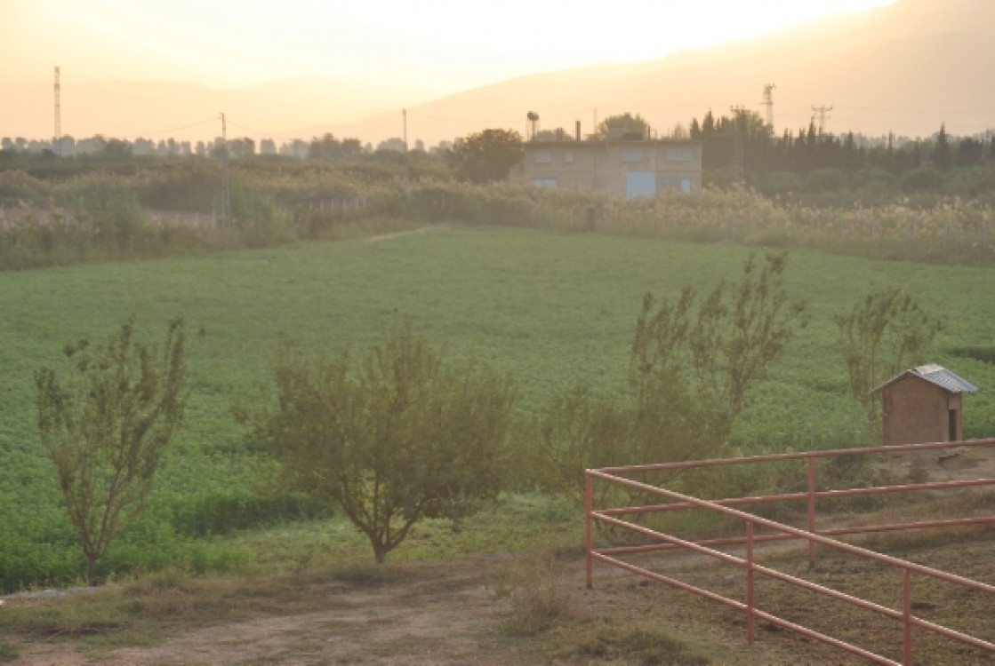 Aydin Nazillide Satilik 11 750 M2 Ciftlik Merkeze 1000 Metre Satilik Arsa Nazilli Altintas Karacay Mah