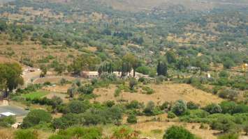 NAZAR EMLAK`TAN TURGUTREİS`TE 17 200 M2 TARLA REF-1803