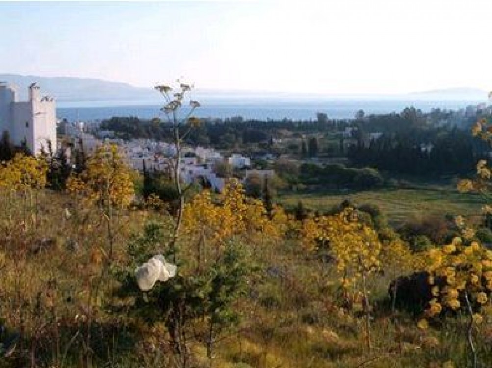 Satilik Arsa Konut Imarli Arsa Nazar Emlak Tan Akyarlarda Konut Imarli Arsa Arsa Ref 52 Mugla Bodrum Turgutreis Akyarlar Mah 5 500 000 Deniz Goren