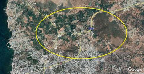 SATILIK ARSA - TURGUTREİS MERKEZDE 8000 M2 MANDALİN BAHÇESİ REF-2331
