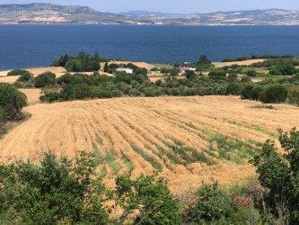 Lapseki Suluca`da Boğaz ve 1915 Çanakkale Köprüsü Manzaralı Satılık Arazi