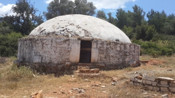 SUPER YATIRIM FIRSATI----BODRUM MERKEZE 5 DAKİKA MESAFEDE YATIRIMLIK 54.000 M2 ZEYTİNLİ TARLA