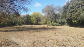 BİTEZ KÖY MERKEZE 400 METRE YÜRÜME MESAFESİNDE SATILIK ARSA