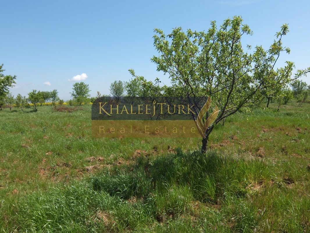 3200 m2 arsa