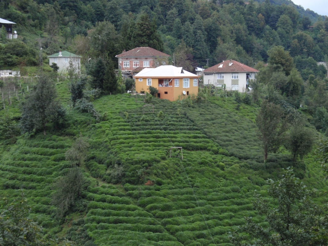 rize cayelinde imarli 2970 m2 arsa satilik arsa cayeli