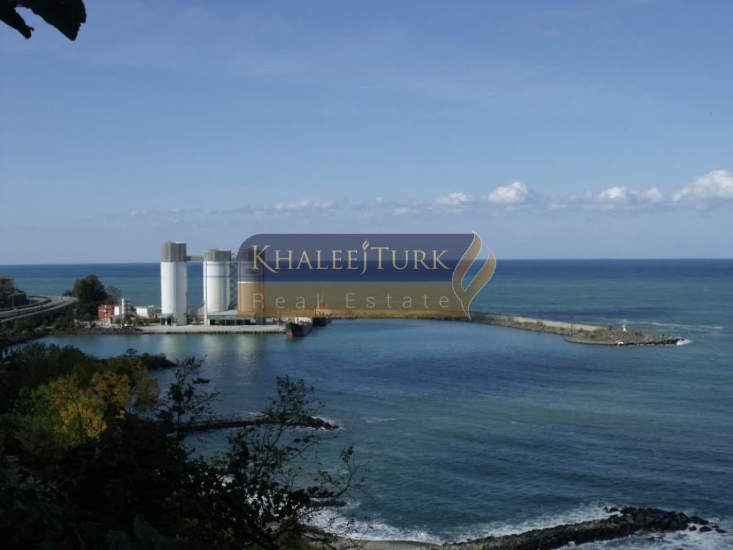 rize cayelinde imarli 2970 m2 arsa satilik arsa cayeli