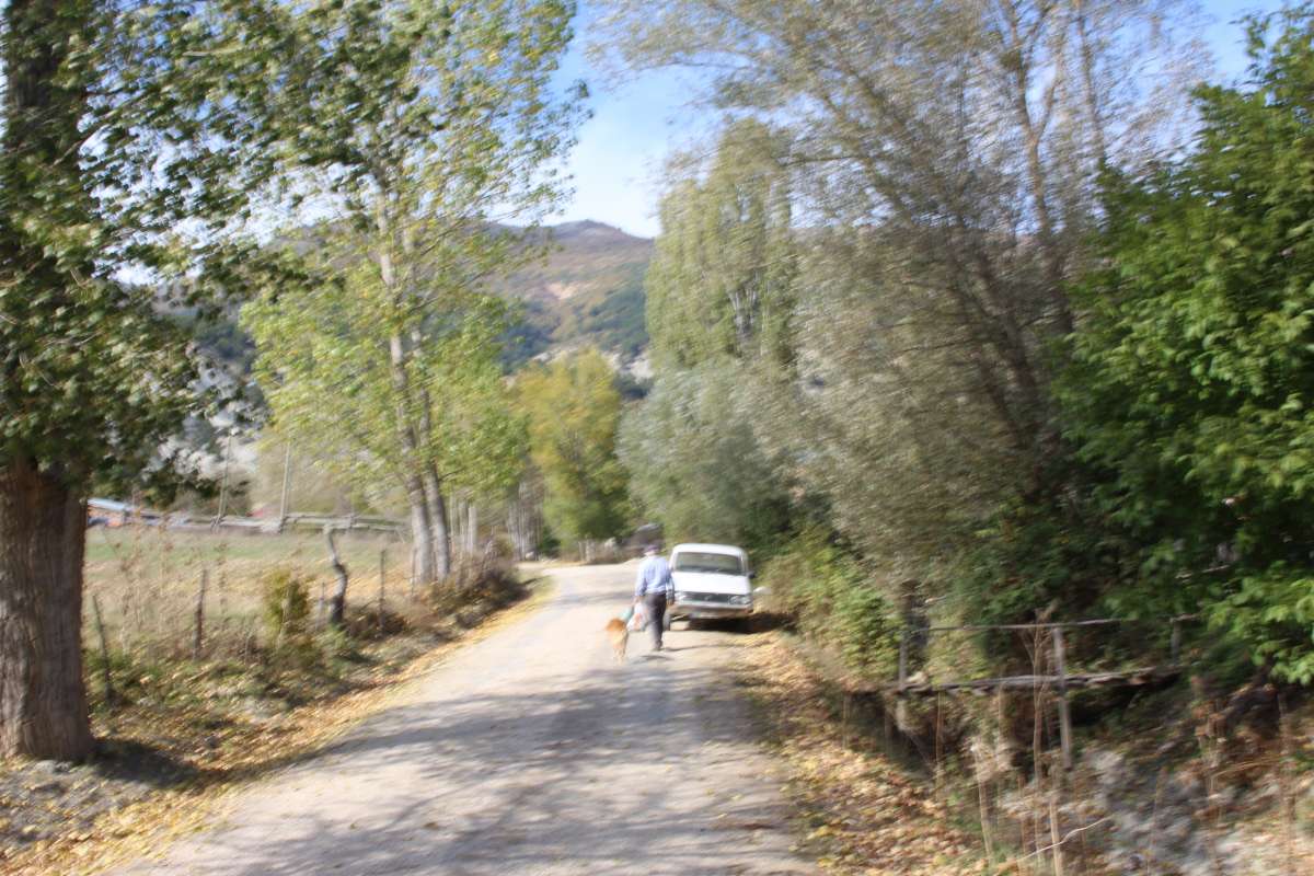 BOLU ABANT GÖLÜNE ÇOK YAKIN MUHTEŞEM HAVASI İLE YOLA CEPHELİ YATIRIMLIK