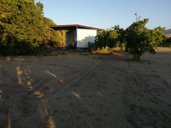 Menemen Emiralem`de Kupon Tarla Konteynerli