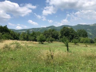 Adressten Başiskele Servetiye camii köyünde arsa