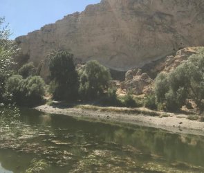 Nevşehir Ürgüp Sarıhıdır 4.095 m2  Bahçe